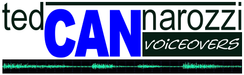 VoxVanta logo