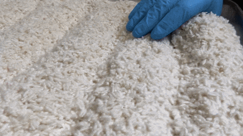 black and white bed linen