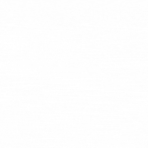 Zubir Churrasqueira Halal logo