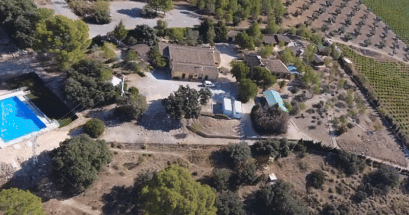 black and white bed linen