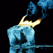 Melting ICE logo