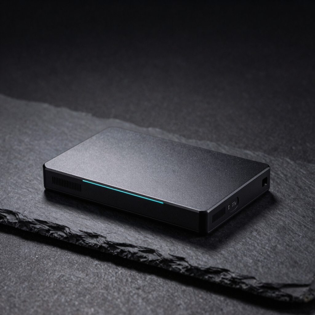 Vector Portable SSD
