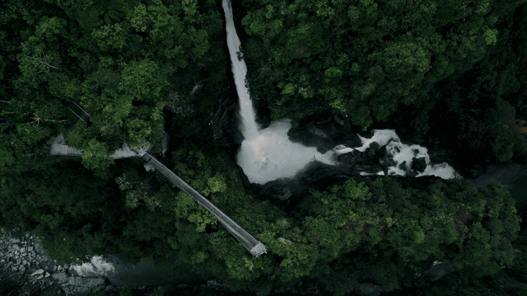 black and brown leather padded tub sofa