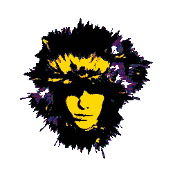 Luke Moyer - Portfolio logo