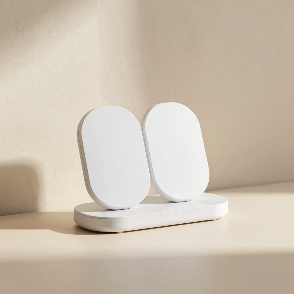Duo-Charge Magnetic Dock