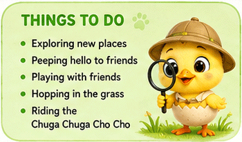 Chip Things to Do