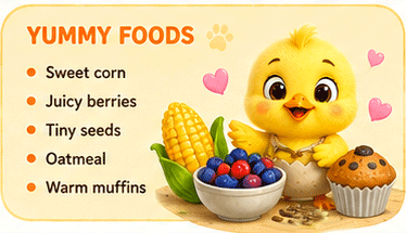 Chip's Yummy Foods
