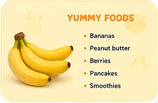 Milo's Favorite Foods