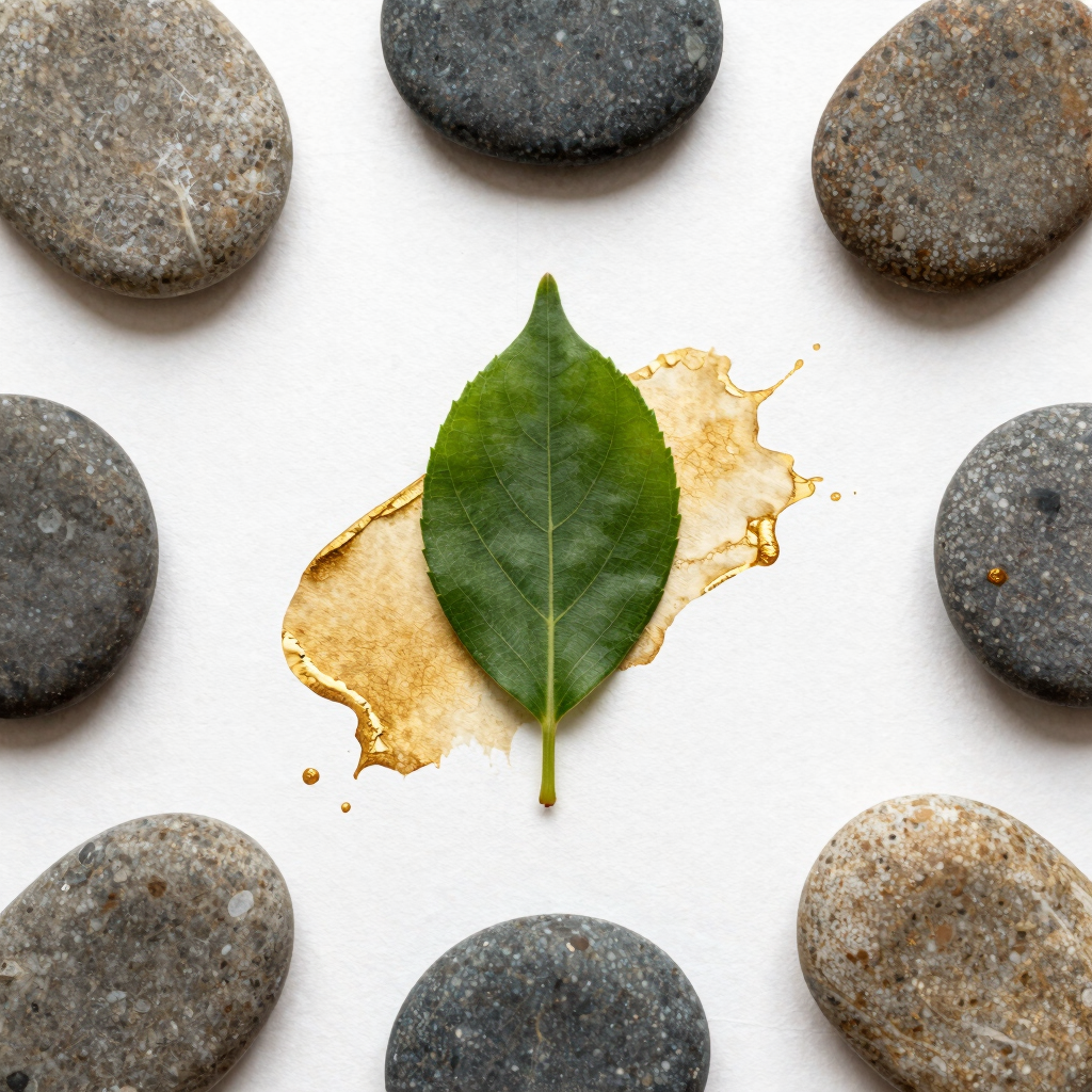 Integrative Wellness Check-in