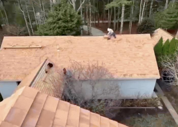 black and white bed linen