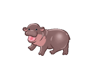 Hippo