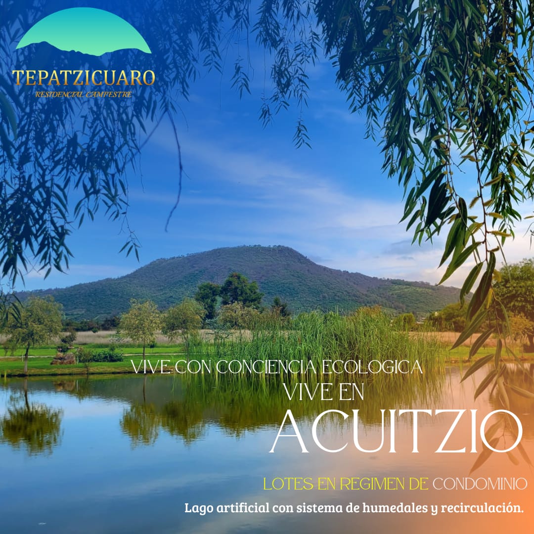 Galería Tepatzícuaro - Imagen 11
