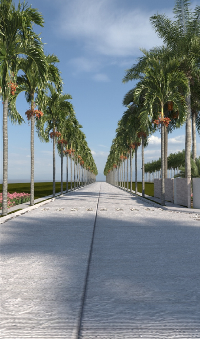 Vialidad del desarrollo Real Costa Azul