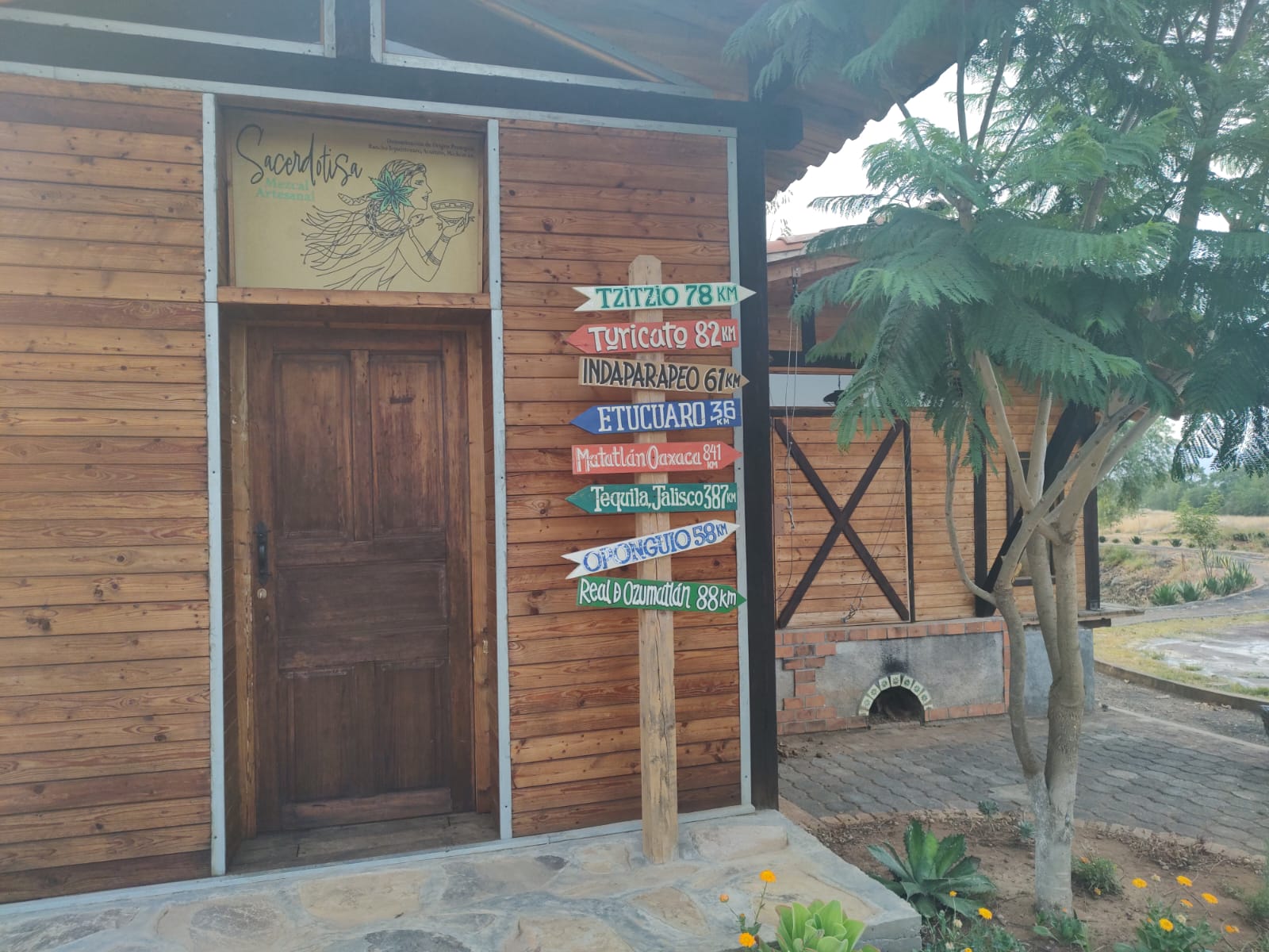 Galería Tepatzícuaro - Imagen 3