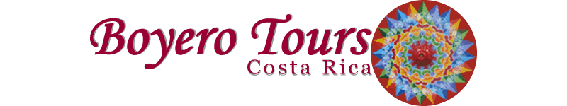 boyero tours costa rica