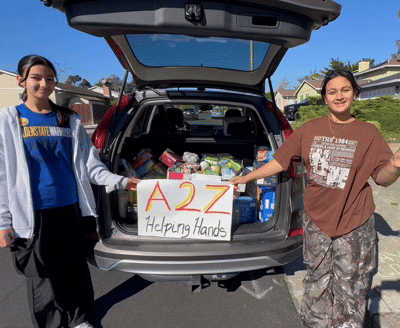 black and brown leather padded tub sofa