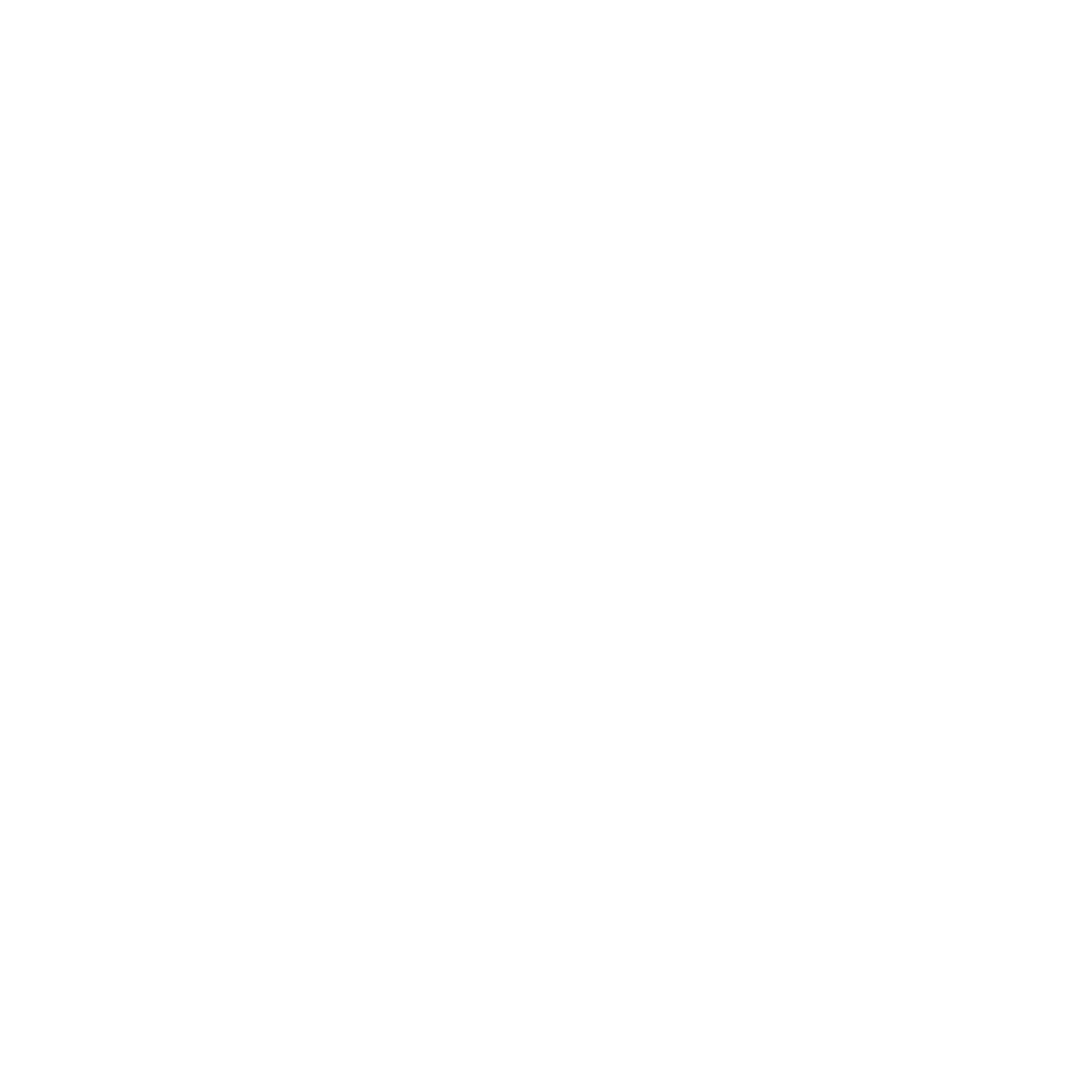 Shahin Falke Montage logo