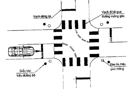 Bài thi Dừng xe và nhường đường cho người đi bộ