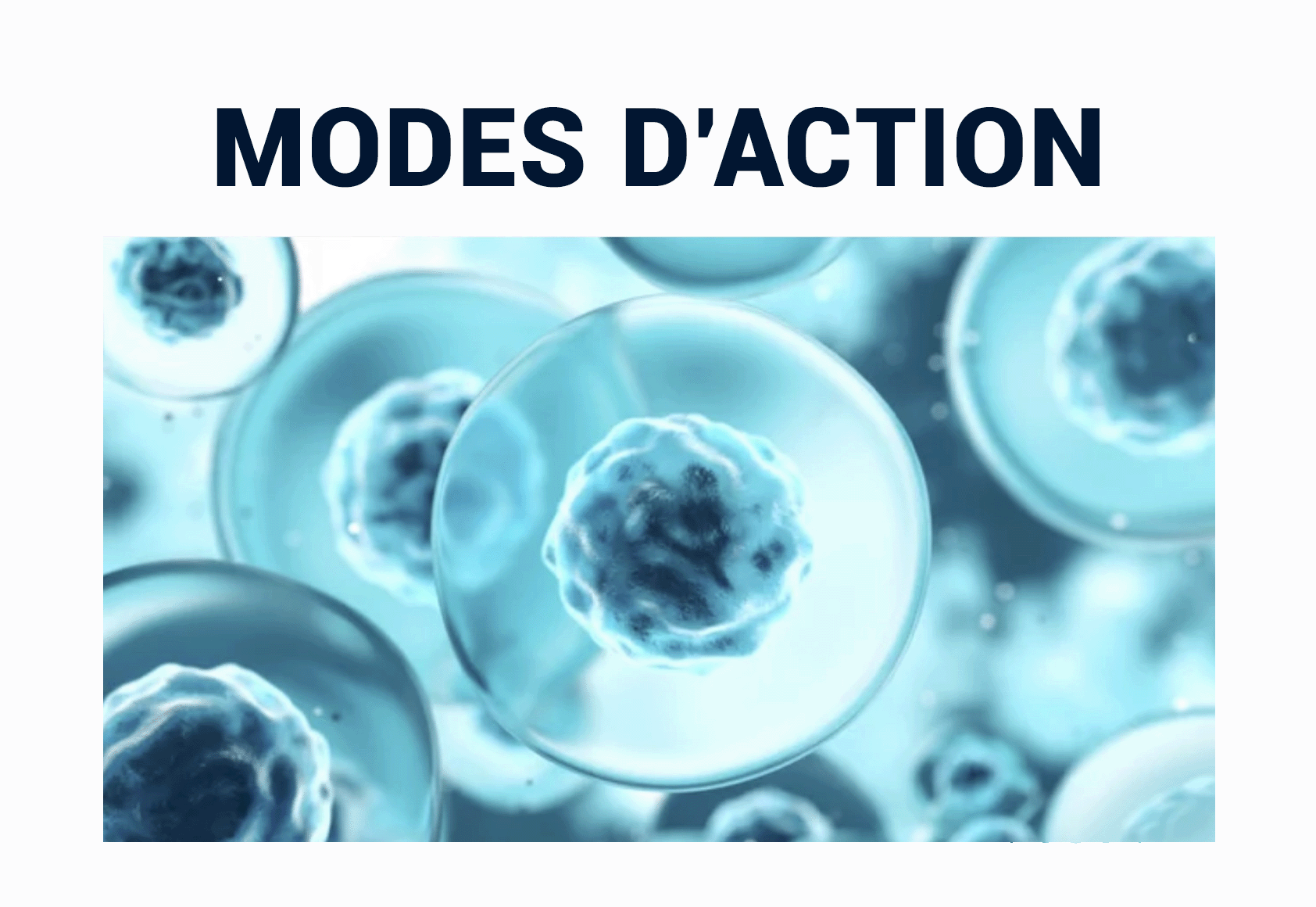 PESTICIDES MODES D'ACTION