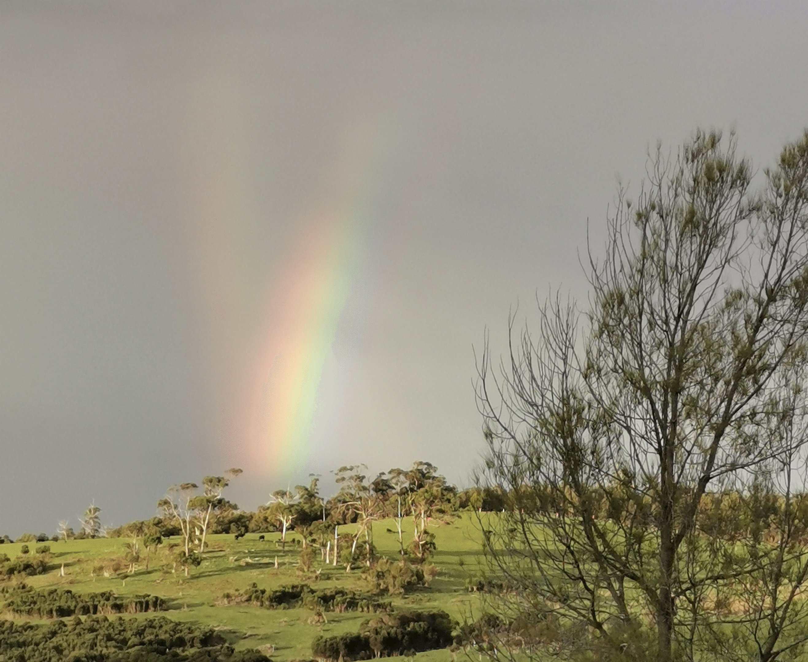 View from my back door