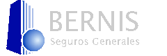 Bernis Seguros logo