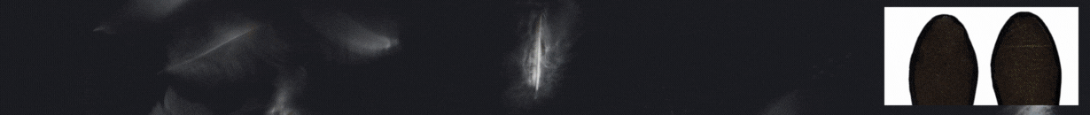 Root touch Organic Insole - Ingredients