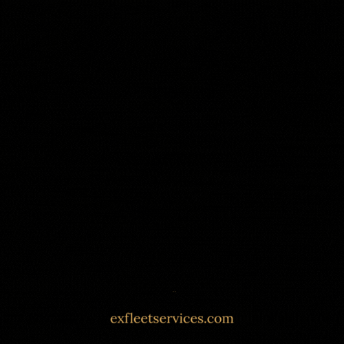 Exceptional Fleet Services logo