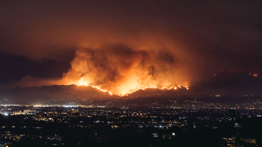 wildfire LA