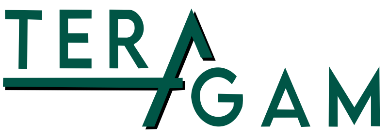 TERAGAM FOR INTEGRATED SOLUTIONS CO. LTD logo