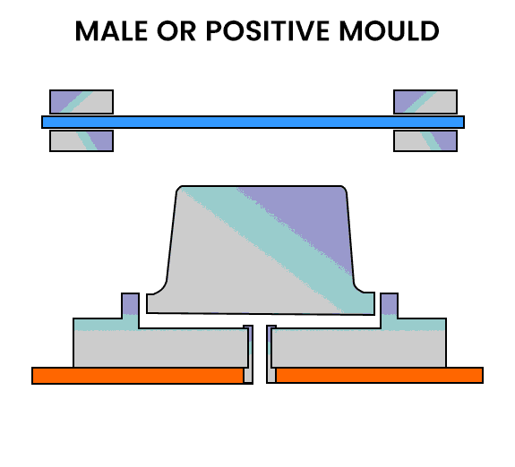 male-mold