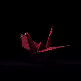 A crisp, delicate origami paper crane sharply defined against a pitch-black backdrop