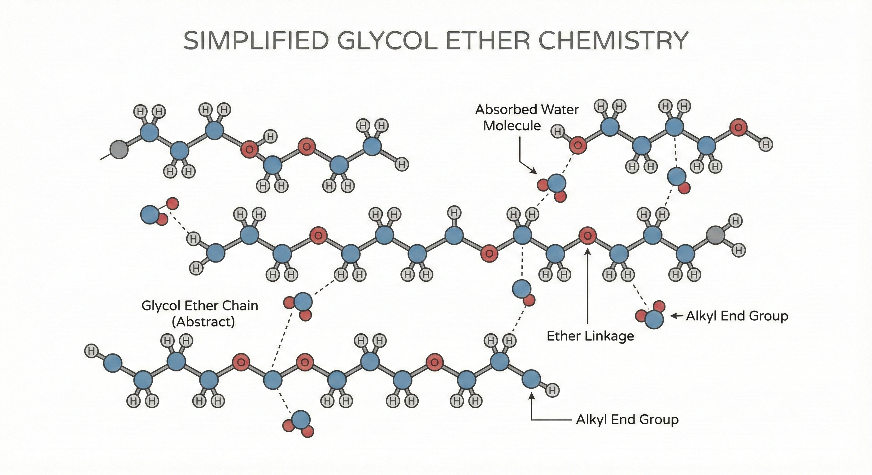 Glycol ether chemical structure representation highlighting polar hydroxyl groups in DOT 3 brake fluid