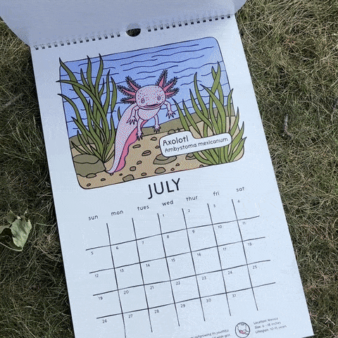 Flipping Calendar pages of the Strange and Bizarre Animals Calendar
