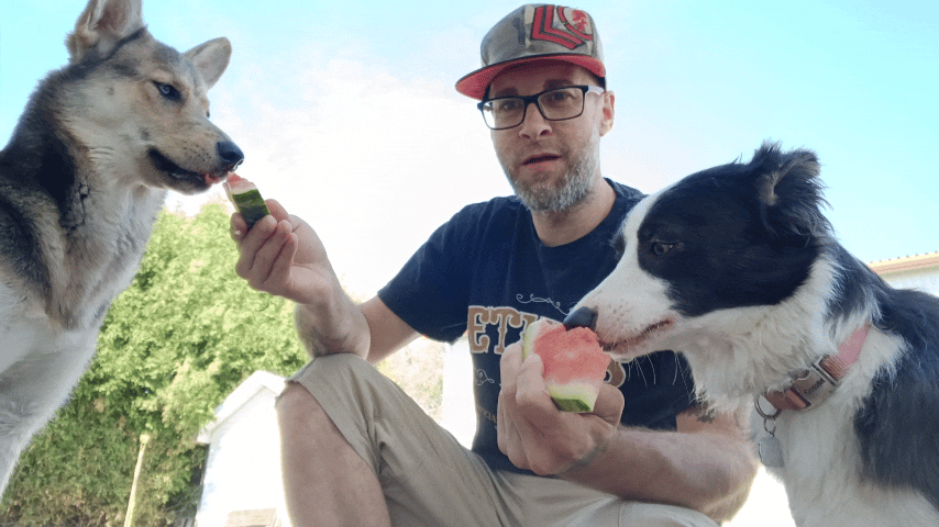 a man with glasses and a dog are eating watermelon