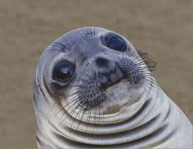 Seal GIF - sliding away from screen