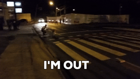 GIF in a skateboard with a dog