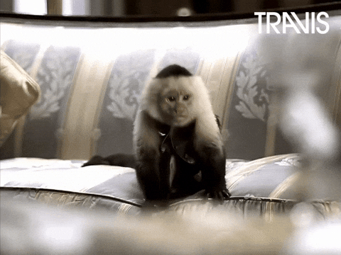 Monkey GIF - Monkey leaving a couch