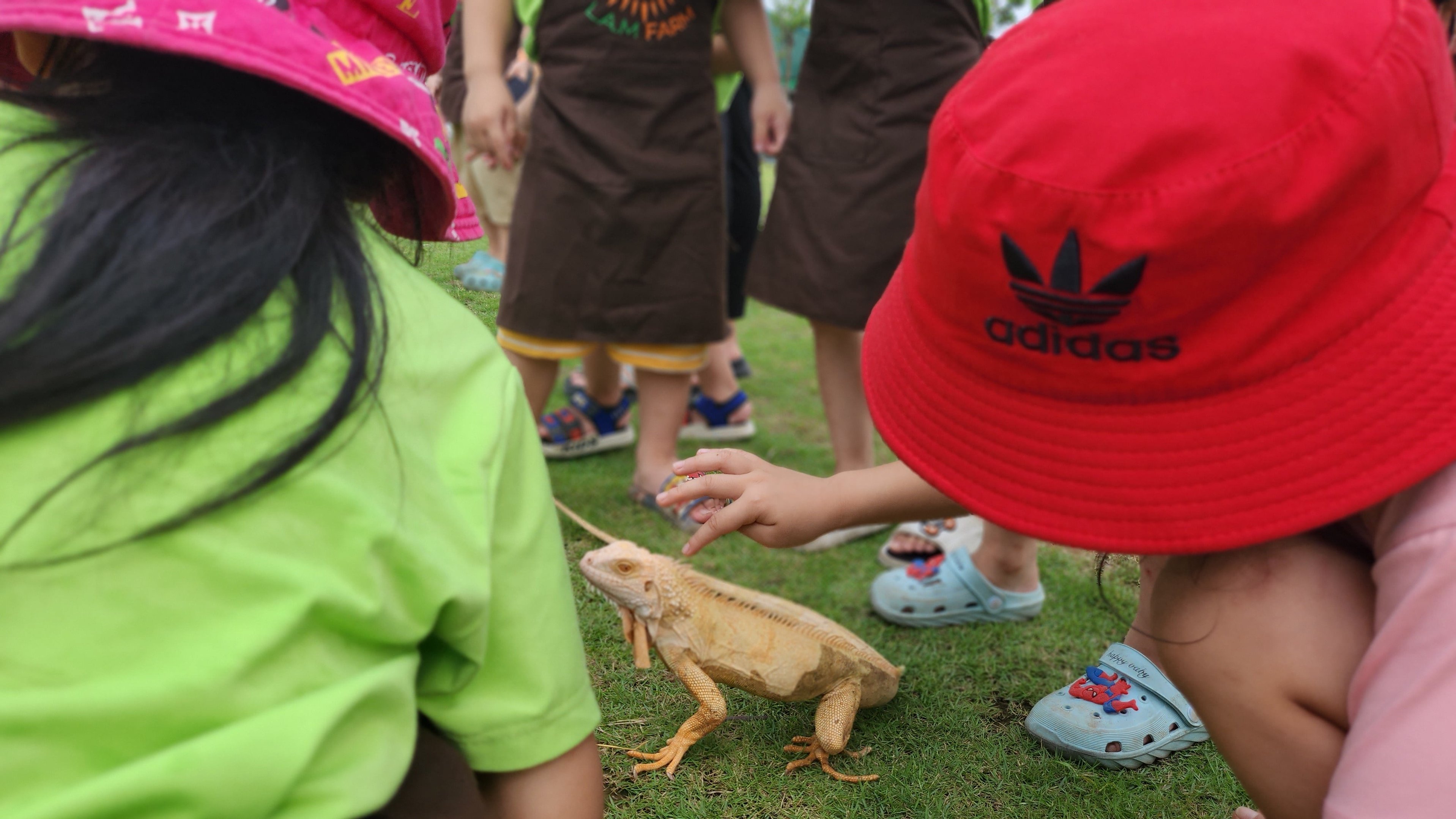 Đăng ký nhận tư vấn trực tiếp từ Thạc sĩ giáo dục đặc biệt - Trung tâm can thiệp sớm Hoa Nắng Hải Phòng (HoaNang)