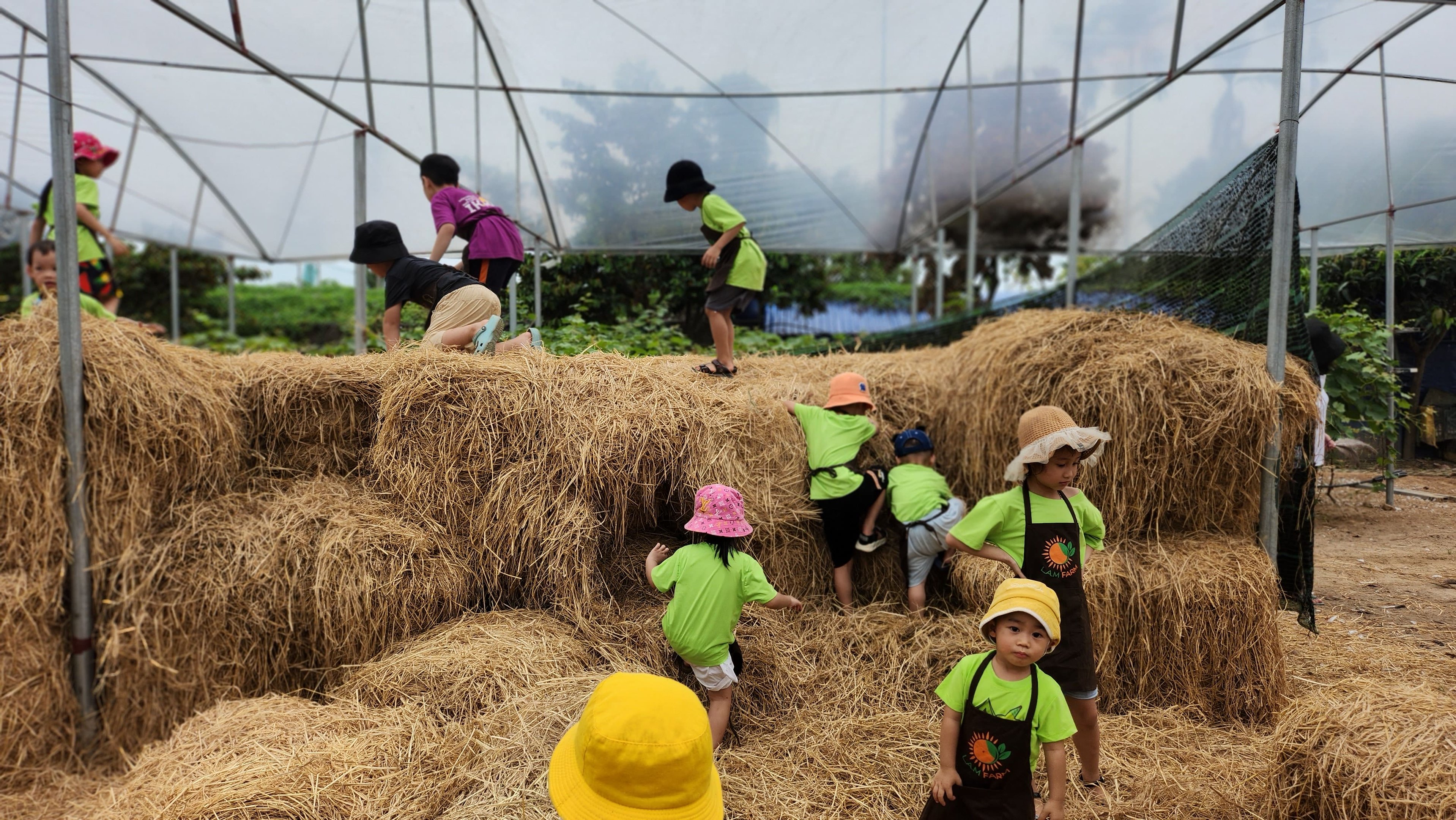 Đăng ký nhận tư vấn trực tiếp từ Thạc sĩ giáo dục đặc biệt - Trung tâm can thiệp sớm Hoa Nắng Hải Phòng (HoaNang)