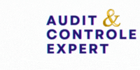 audit contrôle logo