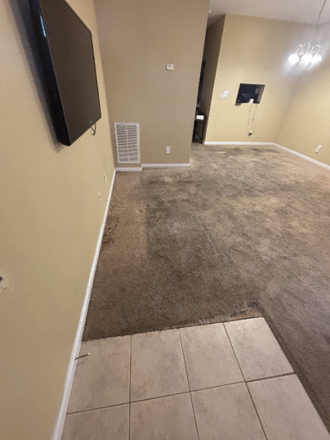 Carpet Removed & Luxury Vinyl Plank Installed