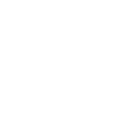 Pulpo
