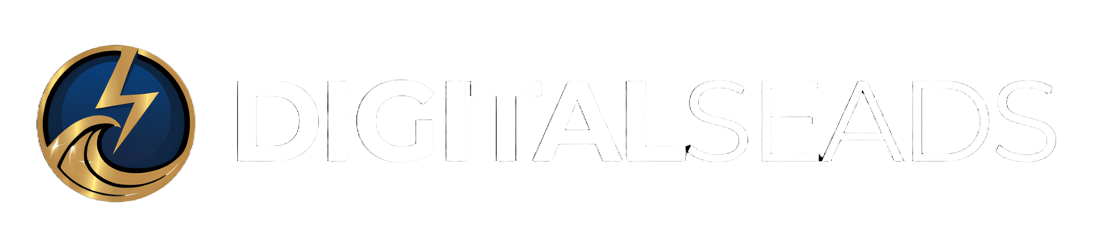 DIGITAL SEADS logo