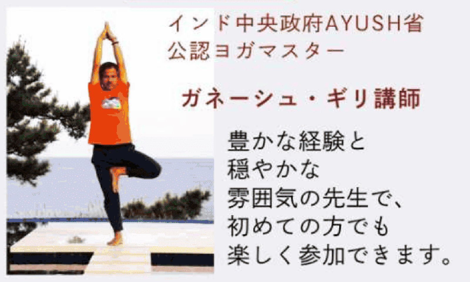 サカイタイムズ本文画像