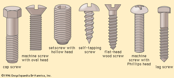All Types of Screws | Cap Screw, Machine Screw, Setscrew, Self-tapping Screw, Wood screw, lag screw.