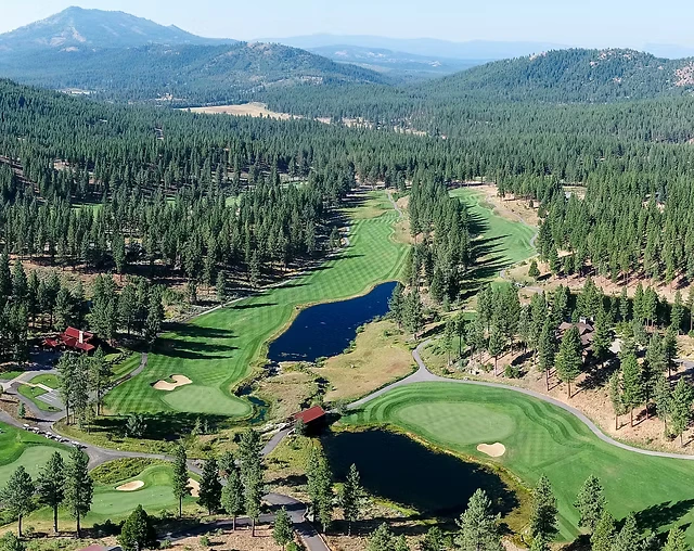 Grizzly Ranch Golf Club — elevated tee and pine setting