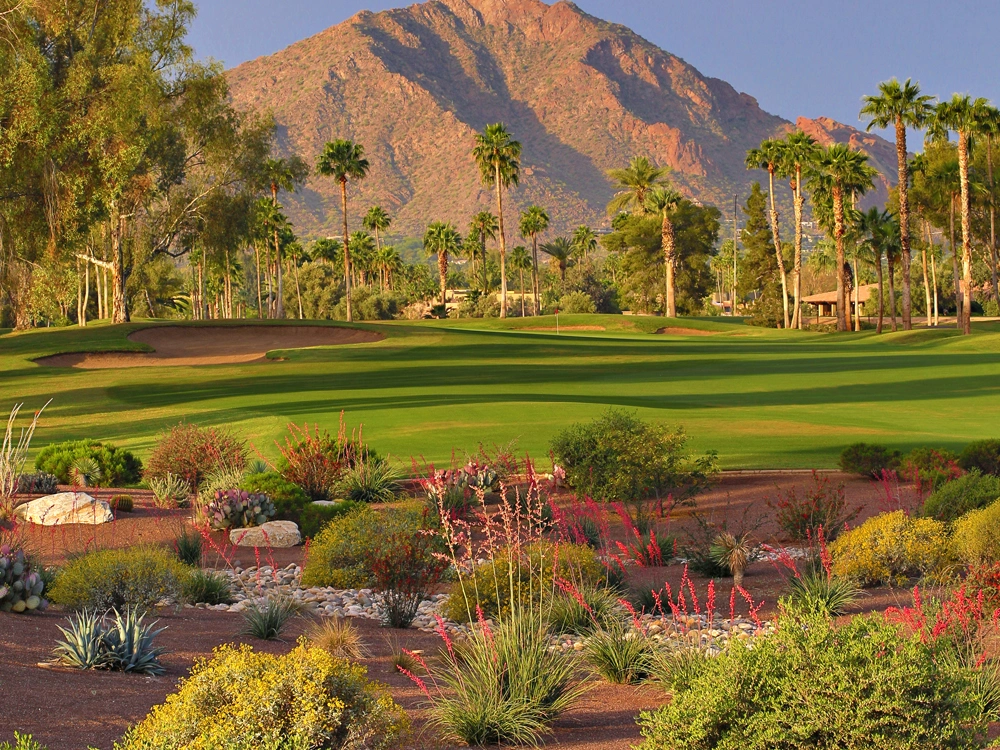 McCormick Ranch Palm course water and palms - relaxed Scottsdale afternoon