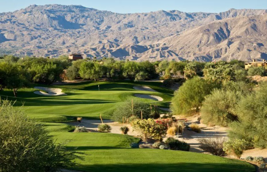 Desert Willow Mountain View