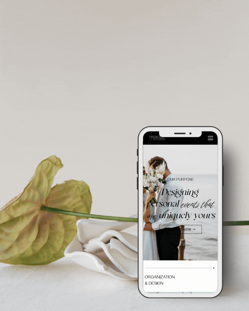 diseño web y branding