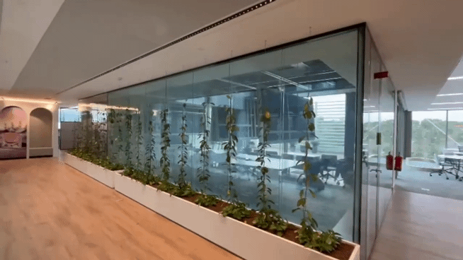 Smart Privacy Glass & Films in Los Angeles – SmartGlass USA